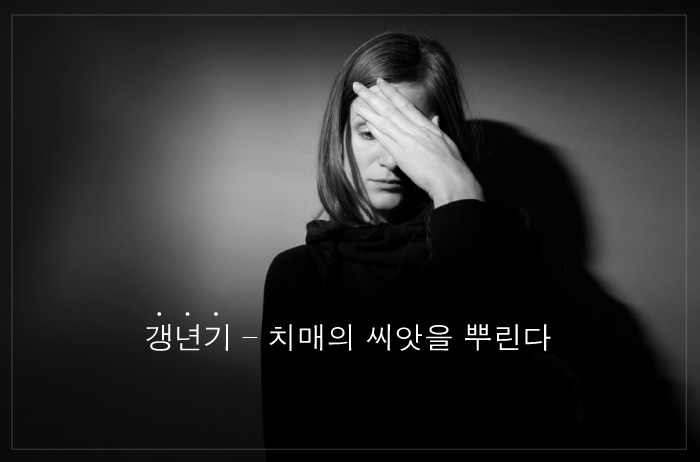 Read more about the article 갱년기–치매의 씨앗을 뿌린다