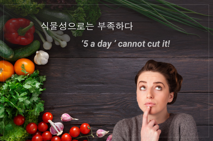 Read more about the article 식물성으로는 부족하다