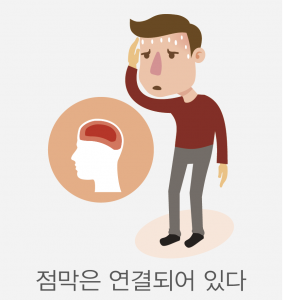 Read more about the article 점막은 연결되어 있다