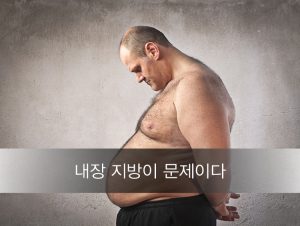 Read more about the article 내장 지방이 문제이다