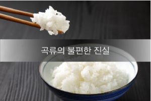 Read more about the article 곡류의 불편한 진실