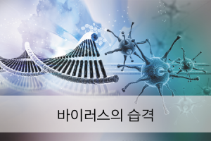 Read more about the article 바이러스의 습격