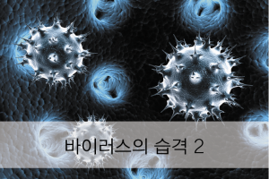 Read more about the article 바이러스의 습격 2