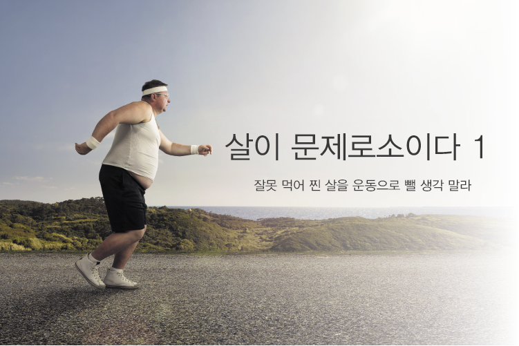 Read more about the article 잘못 먹어 찐 살을 운동으로 뺄 생각 말라 (살이 문제로소이다 1)