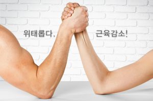 Read more about the article 위험하다, 근육감소!