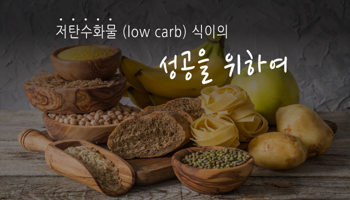 Read more about the article 저 탄수화물 식이의 성공을 위하여