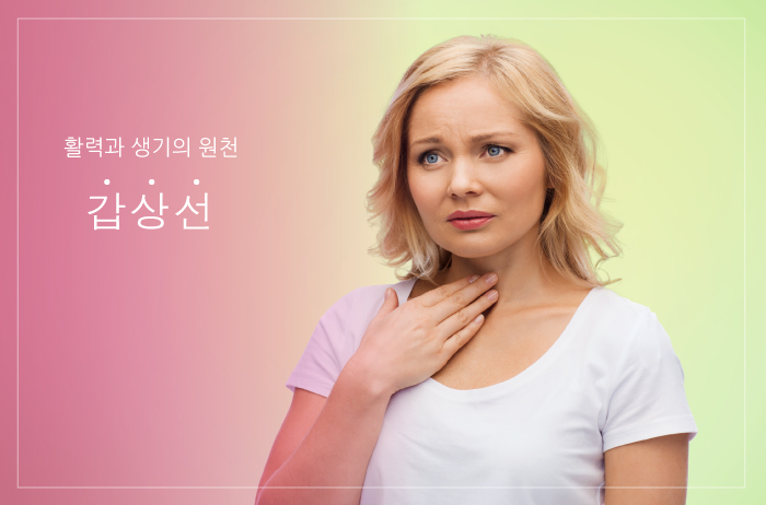 Read more about the article 활력과 생기의 원천, 갑상선