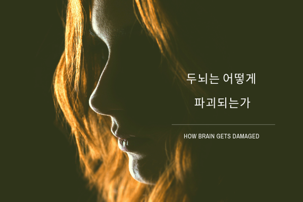 Read more about the article 두뇌는 어떻게 파괴되는가