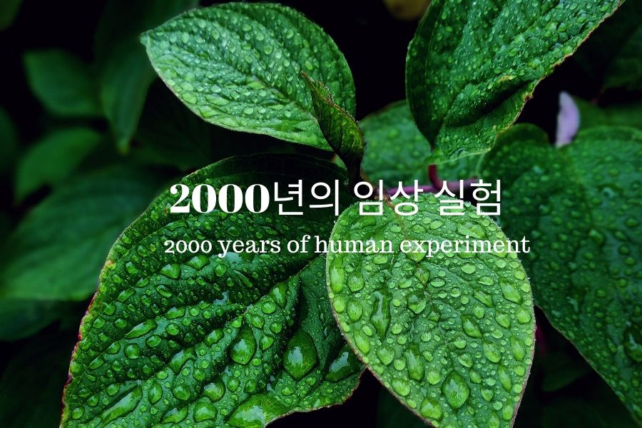 Read more about the article 2000년간 임상 실험하였습니다.
