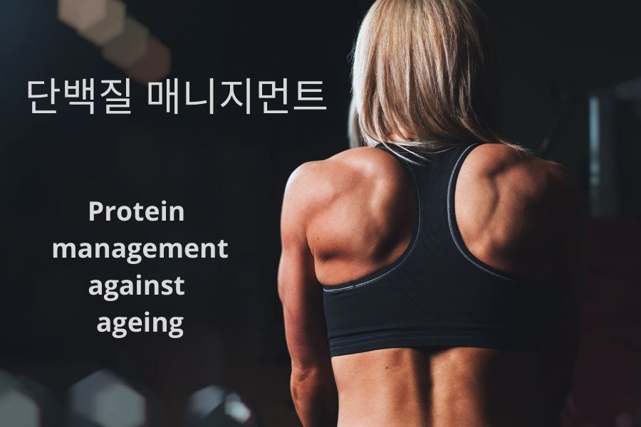 Read more about the article 단백질 매니지먼트