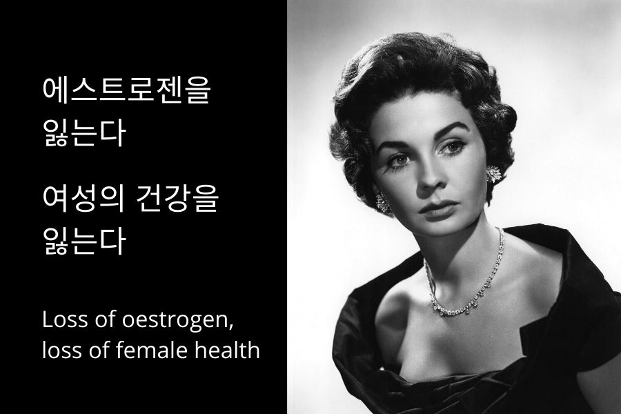 Read more about the article 에스트로젠이 사라진다. 여성의 건강도 사라진다.